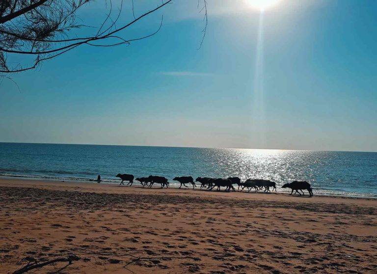 Ko Kho Khao Thailand