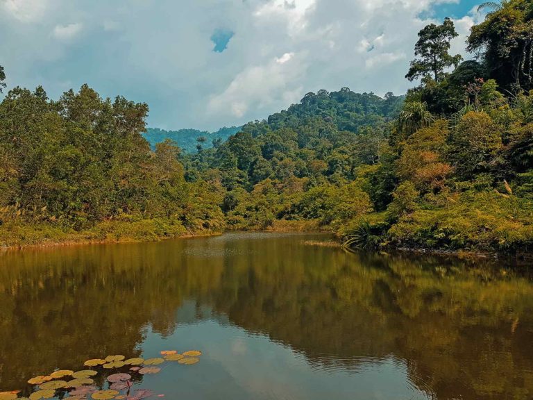 Khao Lak Reiseführer • Lam Ru Nationalpark