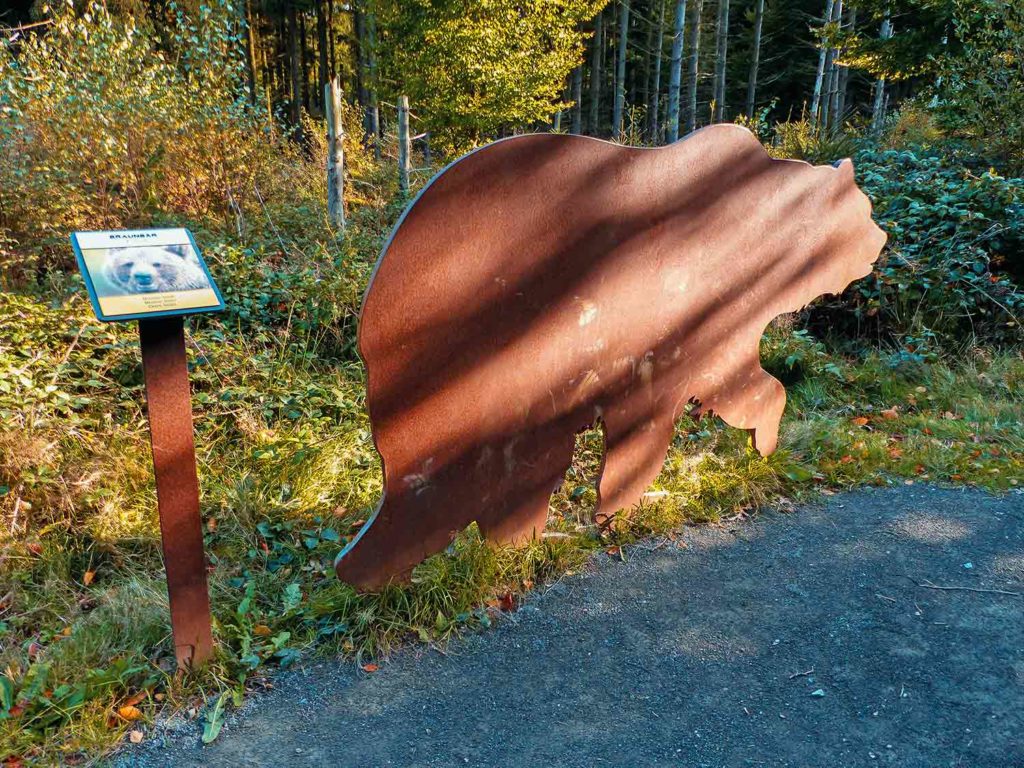 Tiere-im-Nationalpark-Eifel