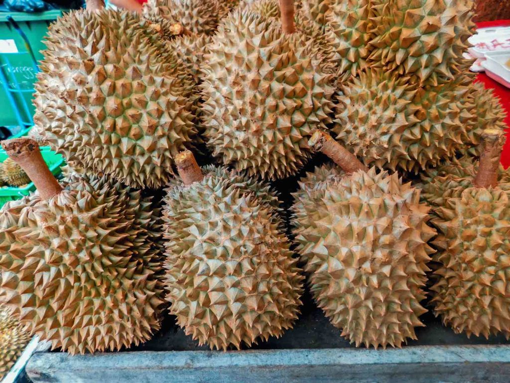 Durian • Stinkfrucht