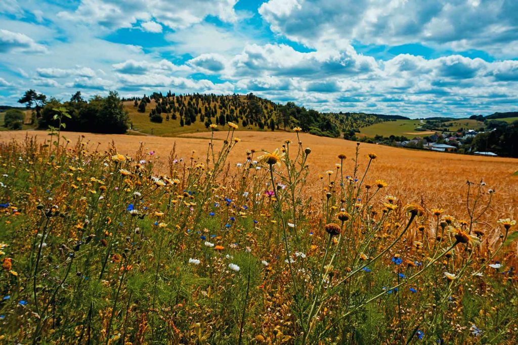 Reise dich frei • wandern Toskana der Eifel