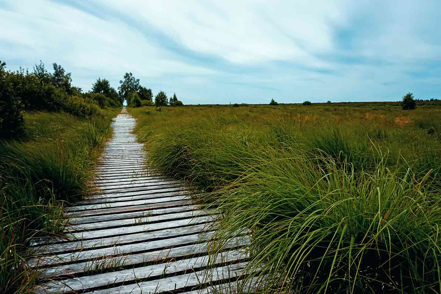 wandern im hohen venn
