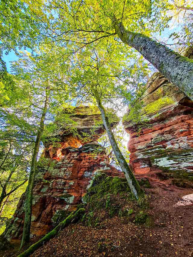 Altschlossfelsen Wanderweg