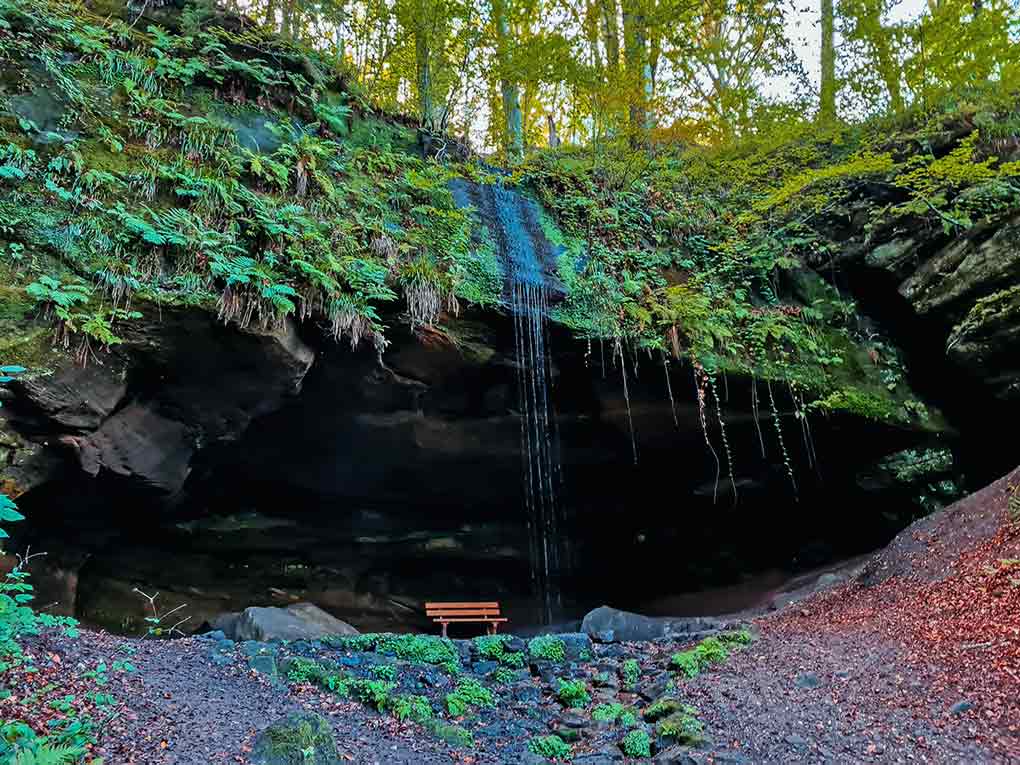 Bärenfels Pfälzerwald