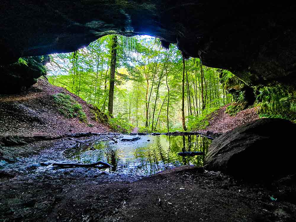 Bärenhöhle Pfälzerwald Highlights