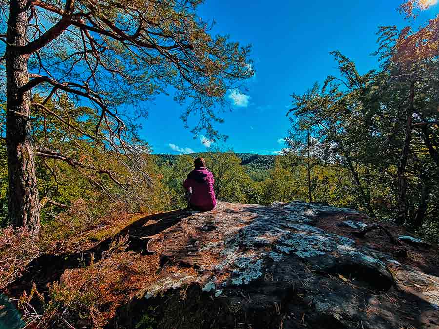 Pfälzerwald Aussicht Reise dich frei