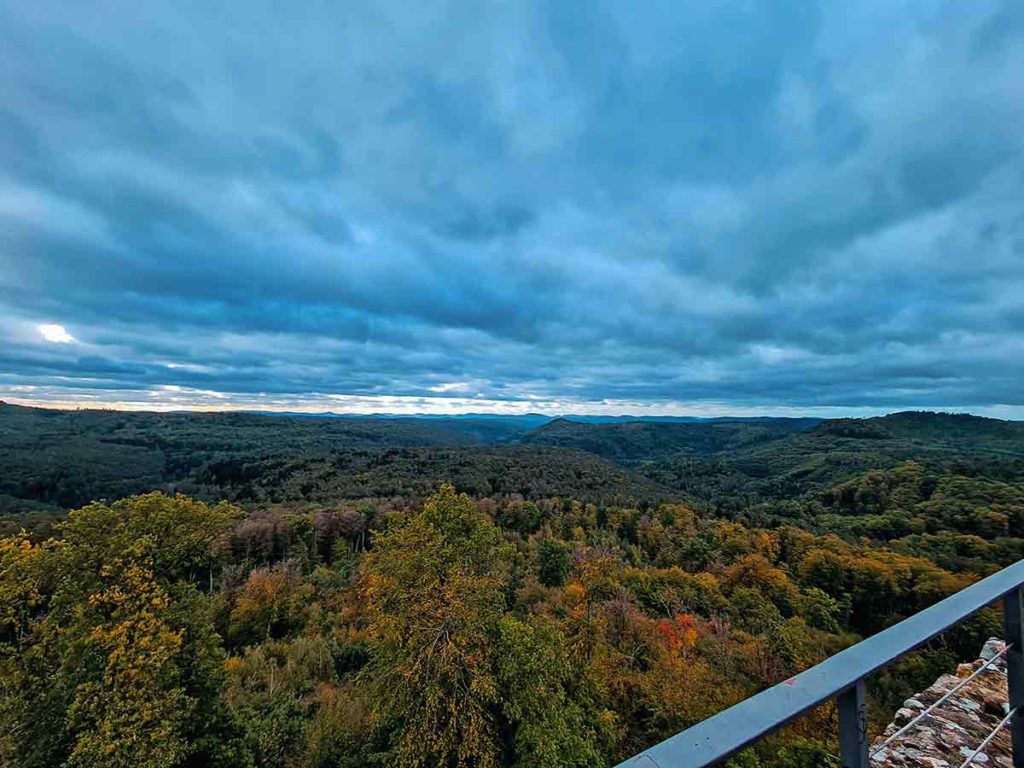 Pfälzerwald Aussicht