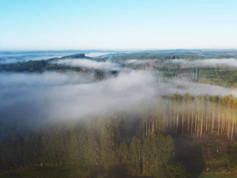 die schönsten orte in der Nordeifel (9)