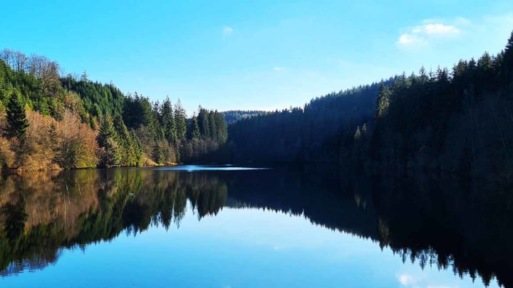 Header - Wanderwege in der Eifel