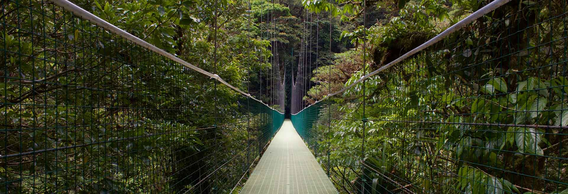 Santa Elena, Monteverde