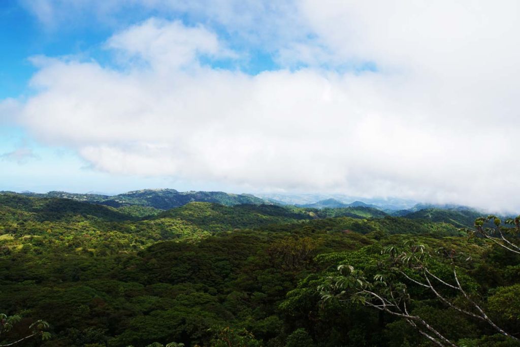 Nebelwälder Costa Rica, Monteverde