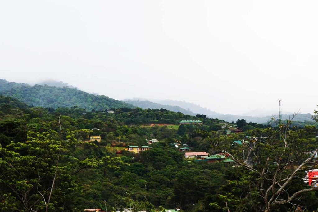 Santa Elena Nebelwälder Costa Rica (5)