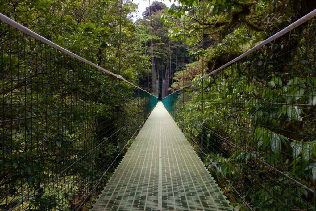 Santa Elena Nebelwälder Costa Rica (6)