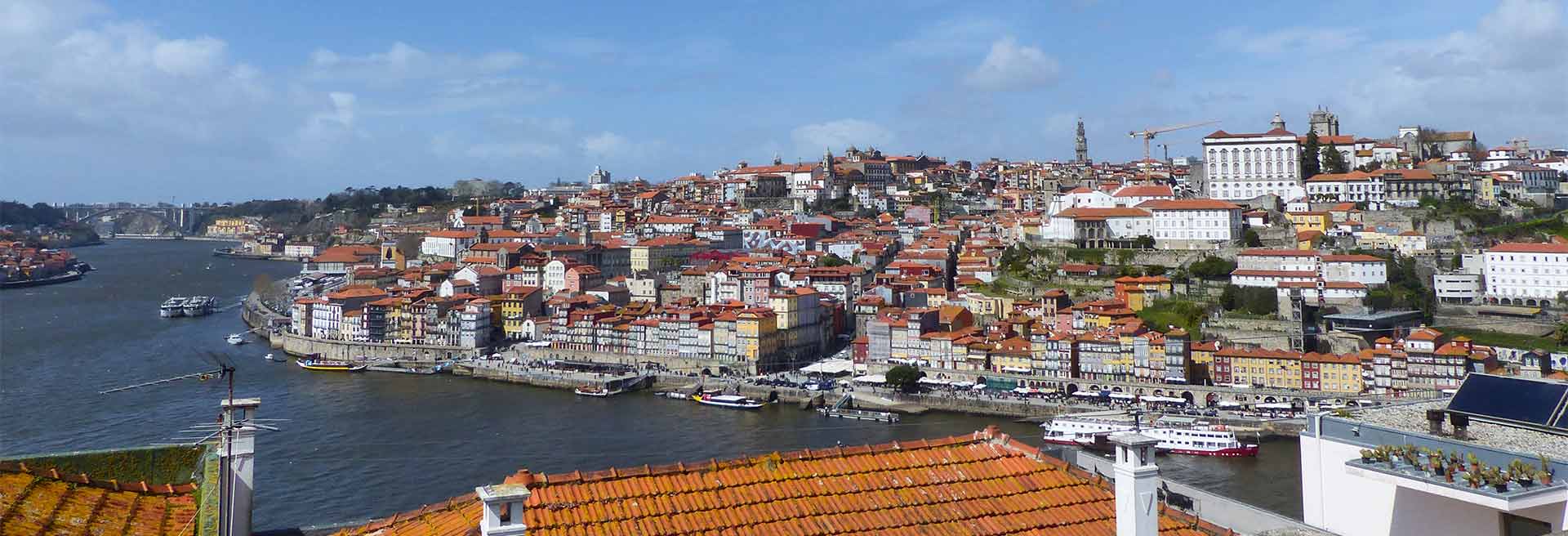 Porto Highlights