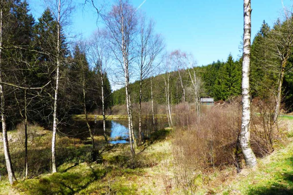 Narzissenwiesen Wanderung