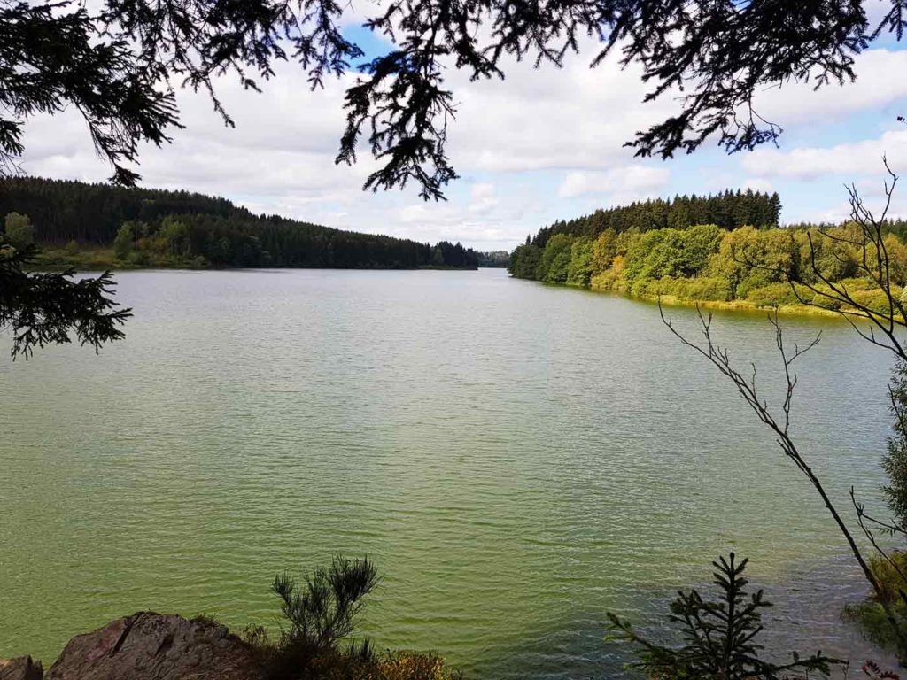 Badesee eifel - bütgenbacher see