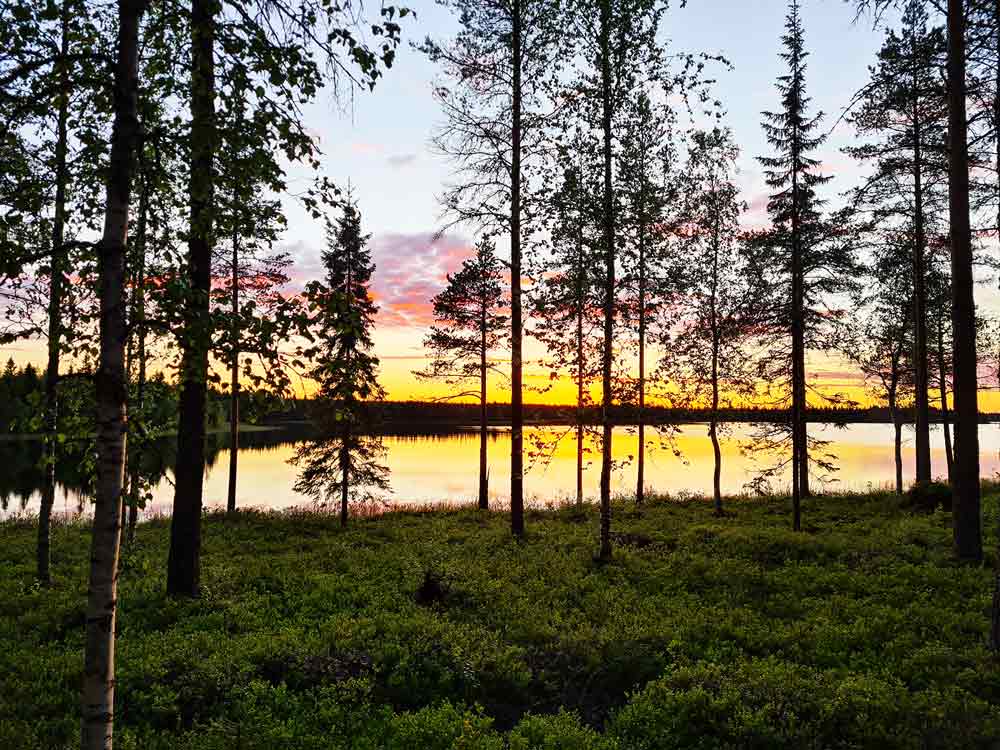 Mitternachtssonne Finnland - Metsä Kolo