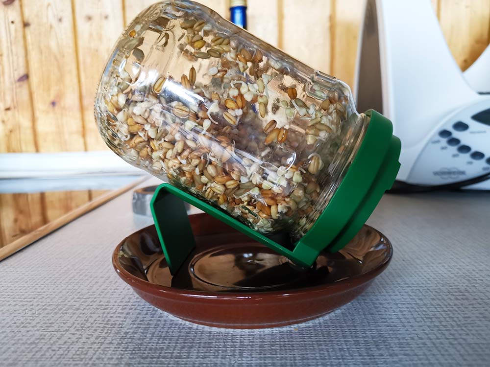 Frischkornbrei-Keimglas