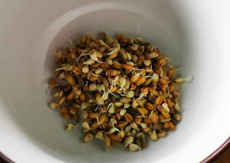 Frischkornbrei nach Dr. Bruker Vollwertkost leicht gemacht Frischkornbrei nach Dr. Bruker Vollwertkost leicht gemacht