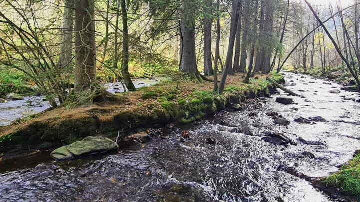 Wandern Monschau