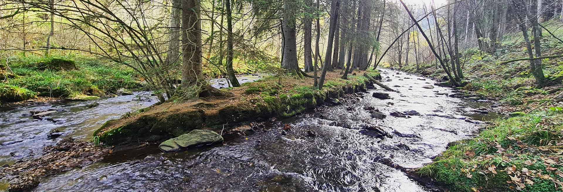 Wandern Monschau