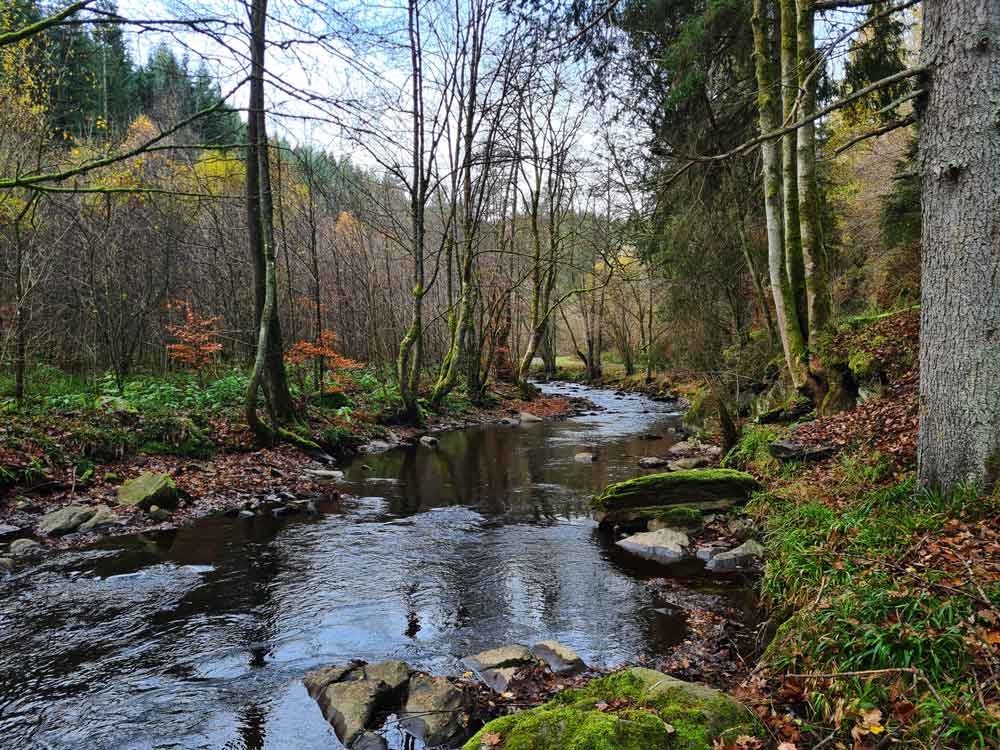 Wandern in der Eifel - Monschau
