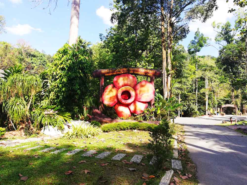 Khao Sok Nationalpark Thailand