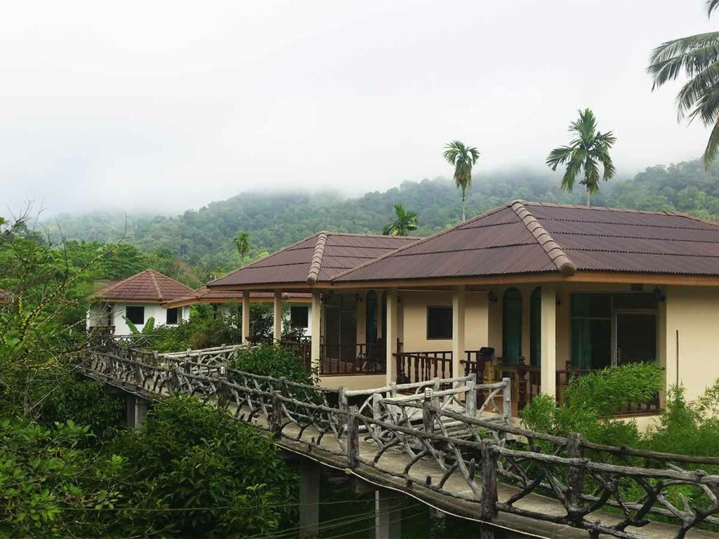 Khao Sok Nationalpark Unterkunft Baumhaus