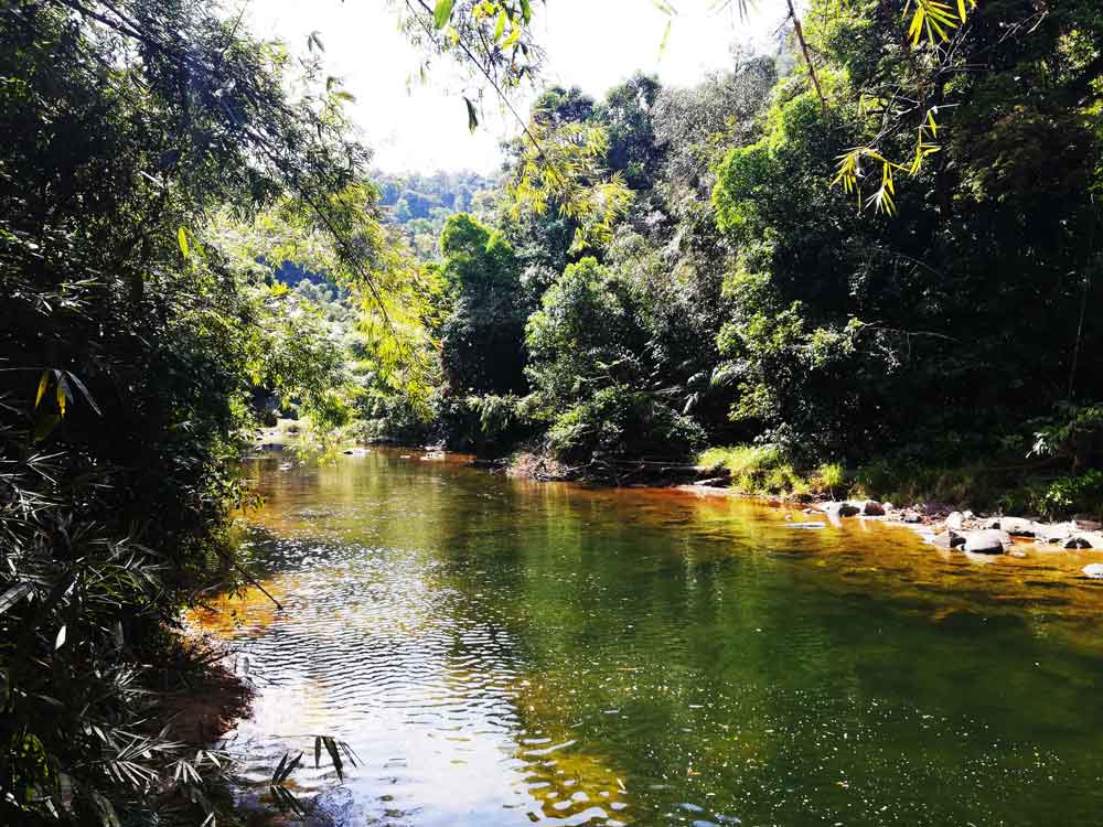 Wandern im Khao Sok Nationalpark