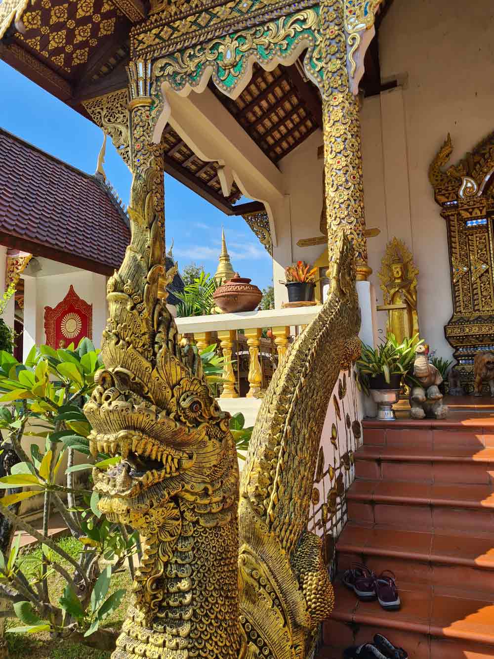 Top 8 Sehenswürdigkeiten Chiang Mai + Hotels & Restaurants 🍔