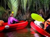 Header Khao Lak Ausflüge
