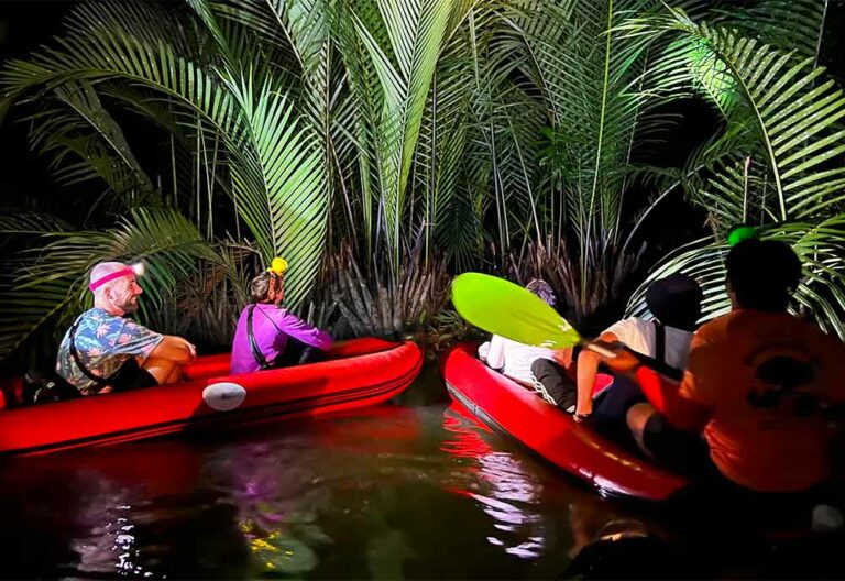 Khao Lak Ausflüge und Touren 🐘 🐍 Unsere Empfehlungen Khao Lak Ausflüge und Touren 🐘 🐍 Unsere Empfehlungen