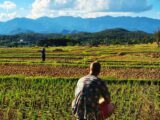 Pai Thailand Header