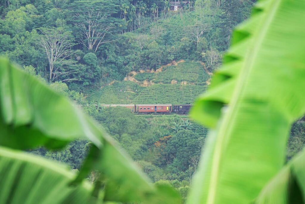 Ella Sri Lanka Zug