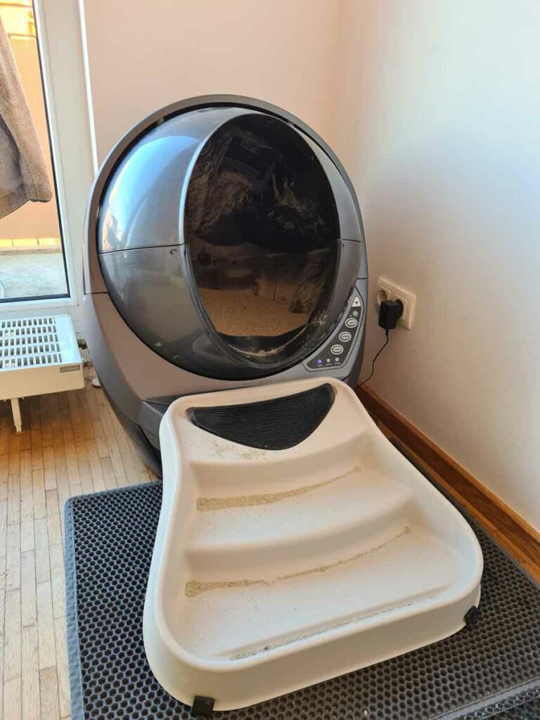 Housesitting in Frankfurt - selbstreinigendes Katzenklo