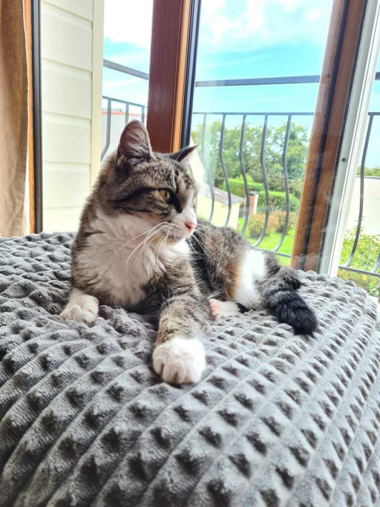 Housesitting in Frankreich