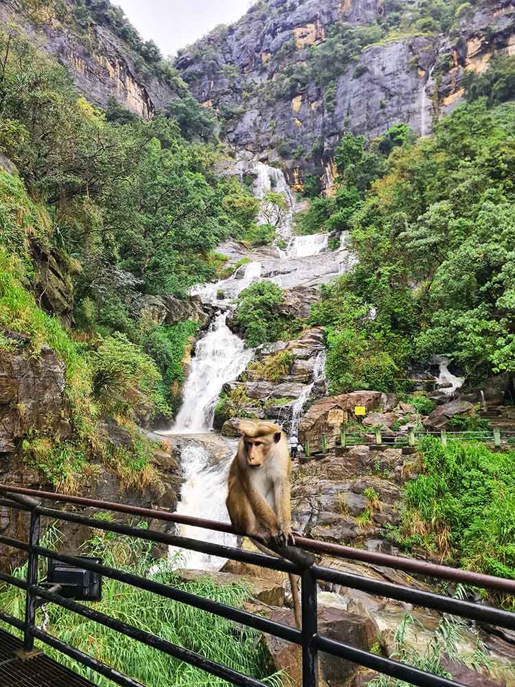 Ravana Wasserfall Ella Sri Lanka