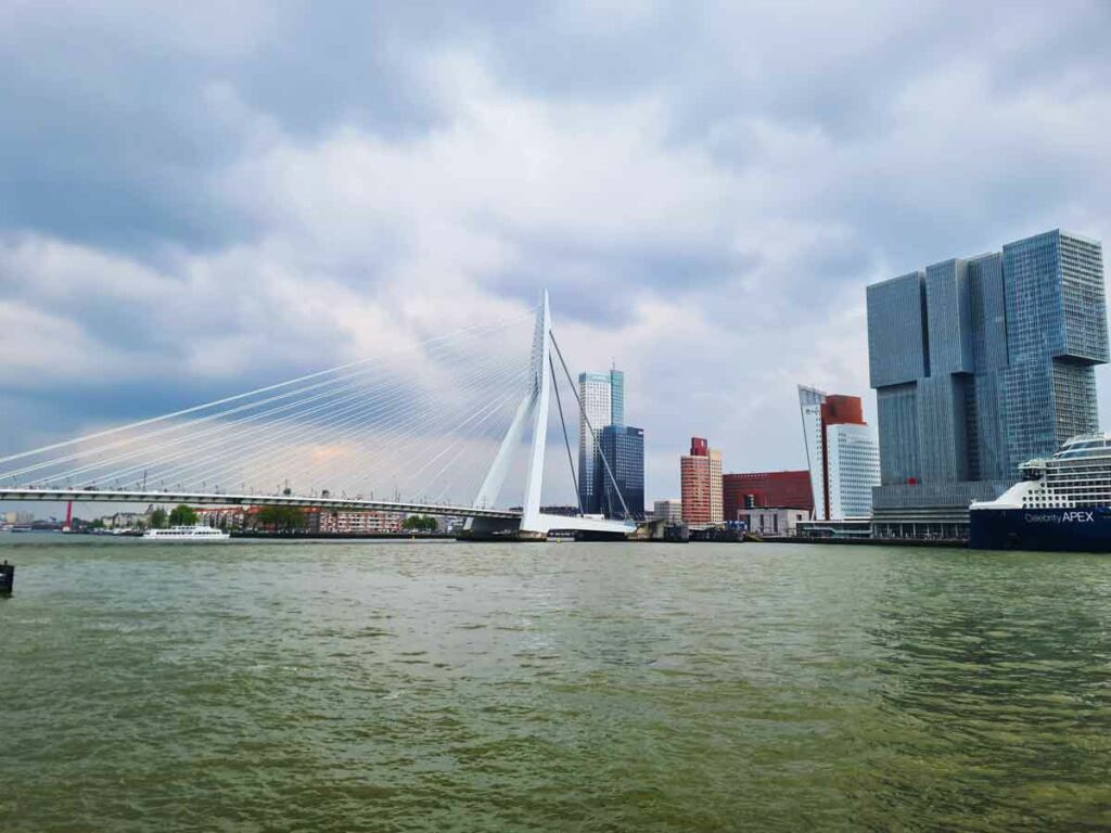 Sehenswürdigkeiten in Rotterdam - Erasmusbrücke