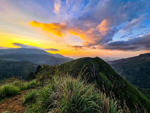 Sri Lanka Pocket Guide – Bild 3