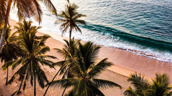 Sri Lanka Reisetipps Pocket Guide