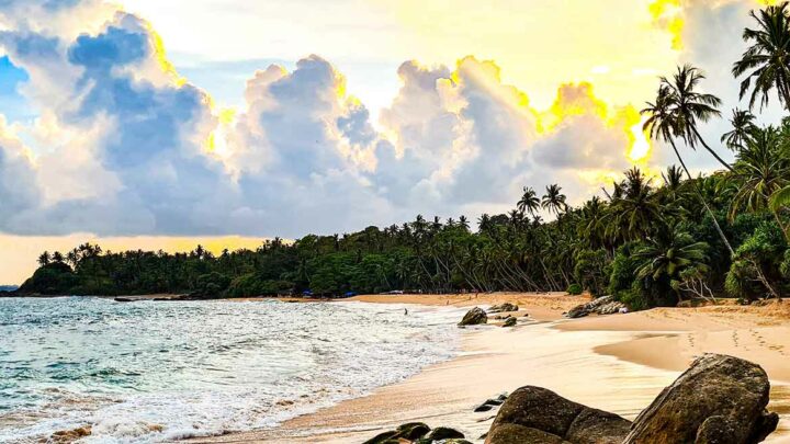 Sri Lanka Urlaub Header