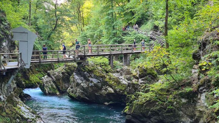 Wandern in Slowenien - Vintgar Klamm Header