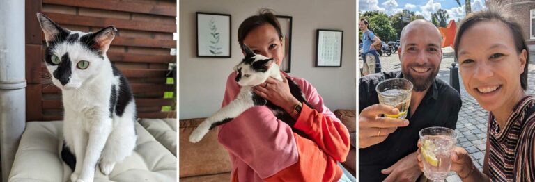 Housesitting in Maastricht header