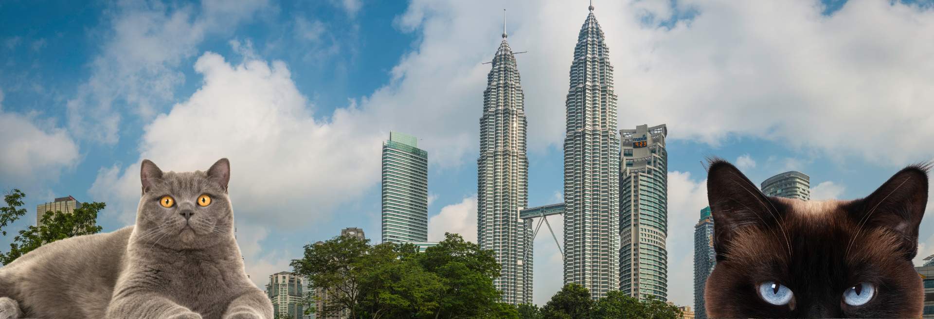 unser 11. Housesit in Kuala lumpur