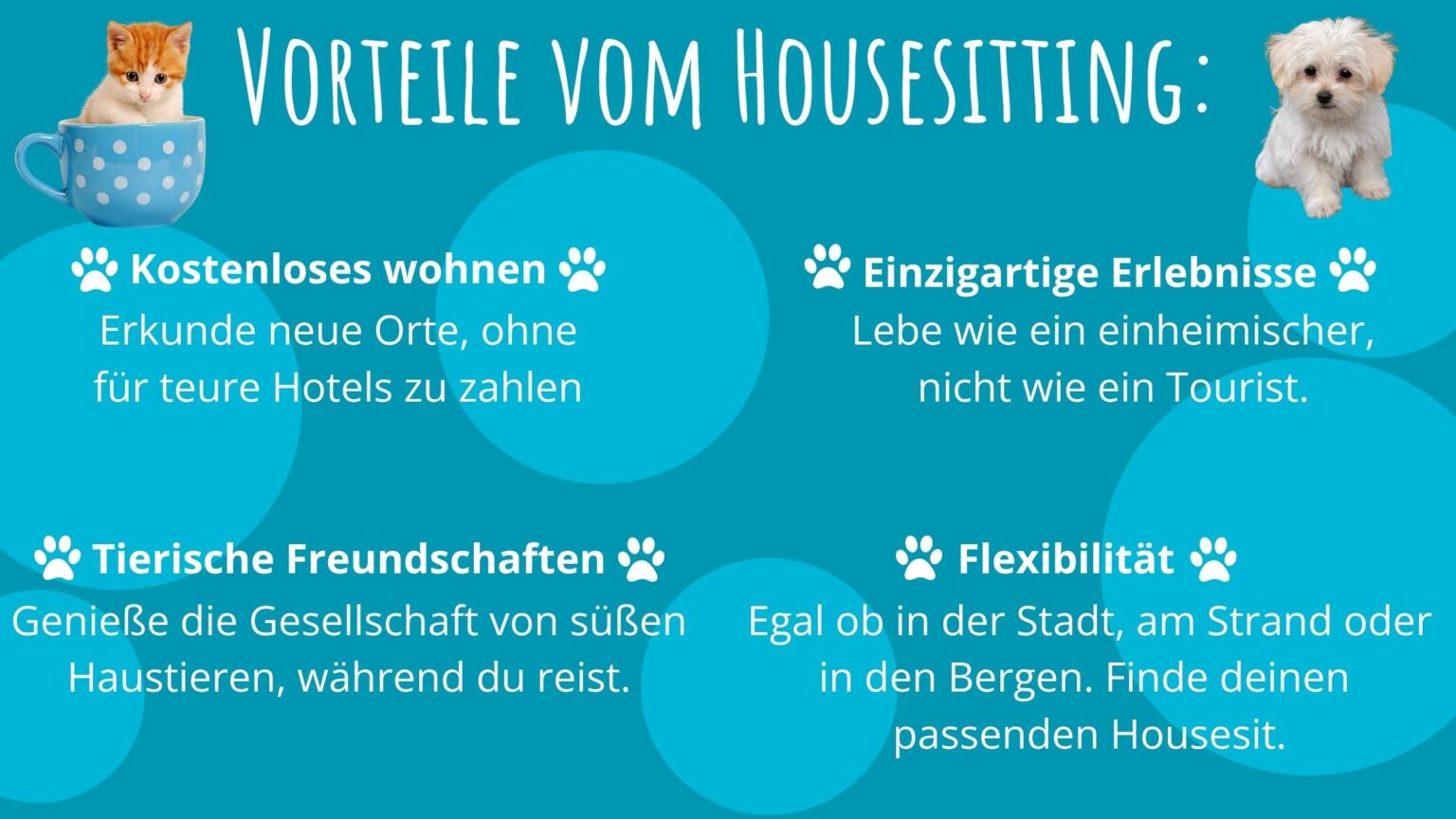 Housesitting vorteile