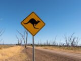 Australien Reise